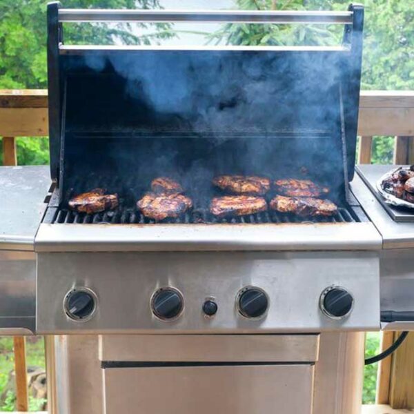 Choose from the Popular Grills on Sale