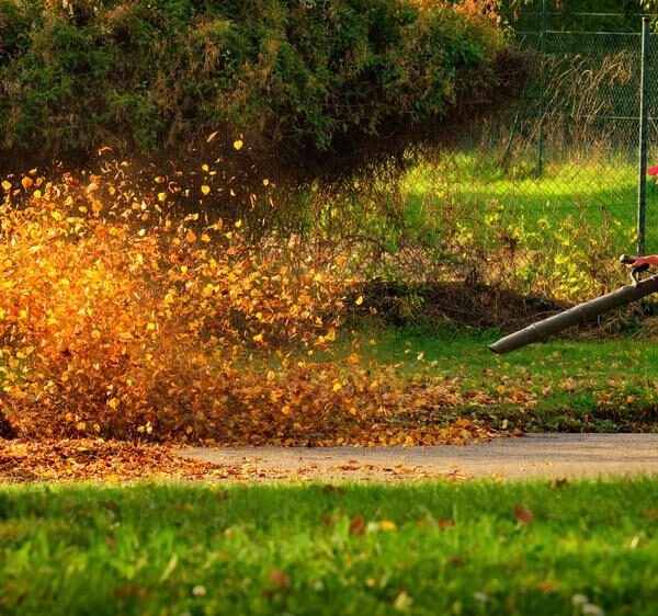 Guide to Choosing the Right Gas Leaf Blower