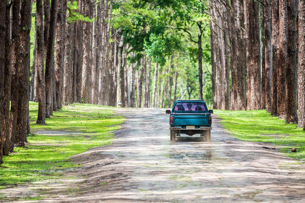 Here&#8217;s how useful pickup trucks are