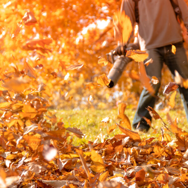 How to Choose the Best Leaf Blower