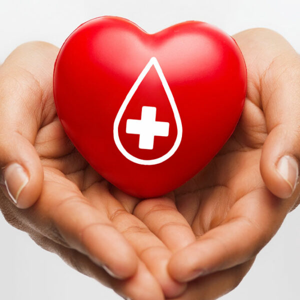 Important Things to Know About Plasma Donation