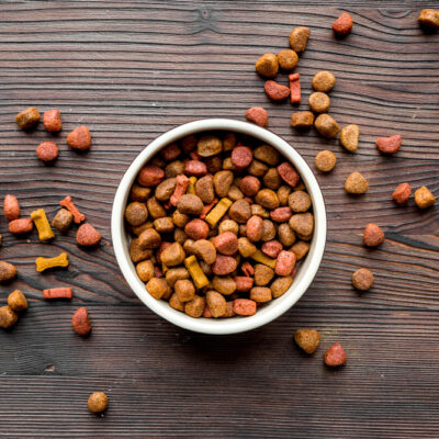 Tips for Buying the Best Dog Food