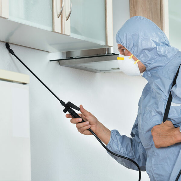 Tips for choosing and use of chemicals for pest control