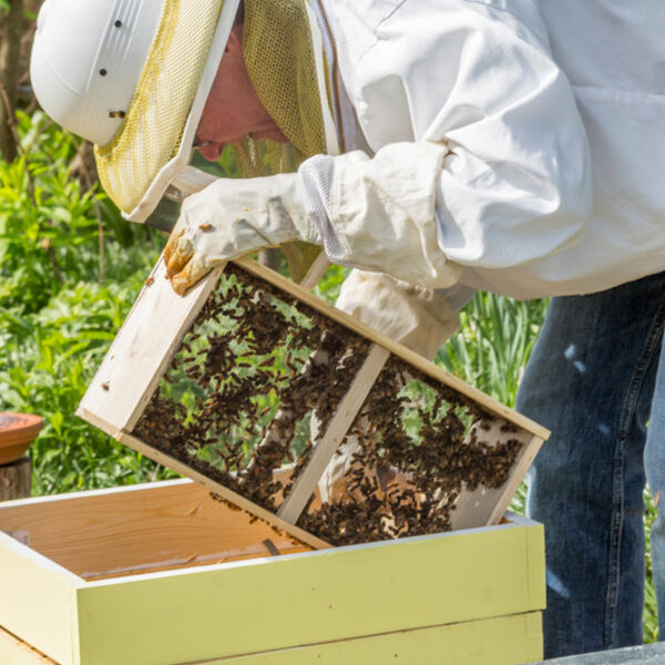 Ways To Naturally Treat Hives