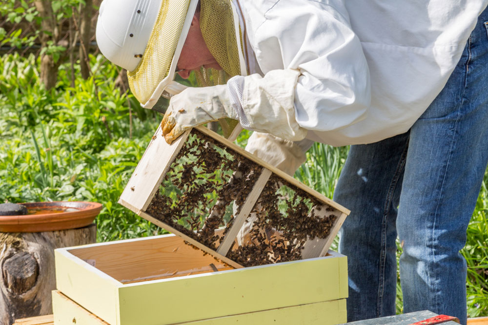 Ways To Naturally Treat Hives