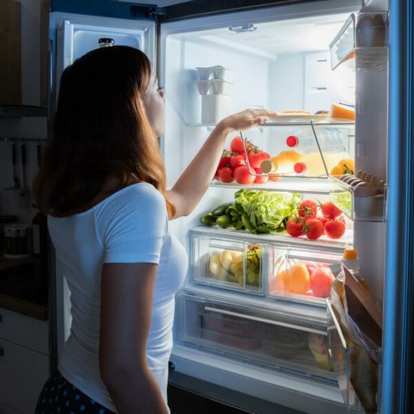 5 Basics You Must Know About A Refrigerator