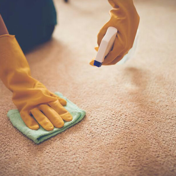 5 benefits of carpet cleaning services 