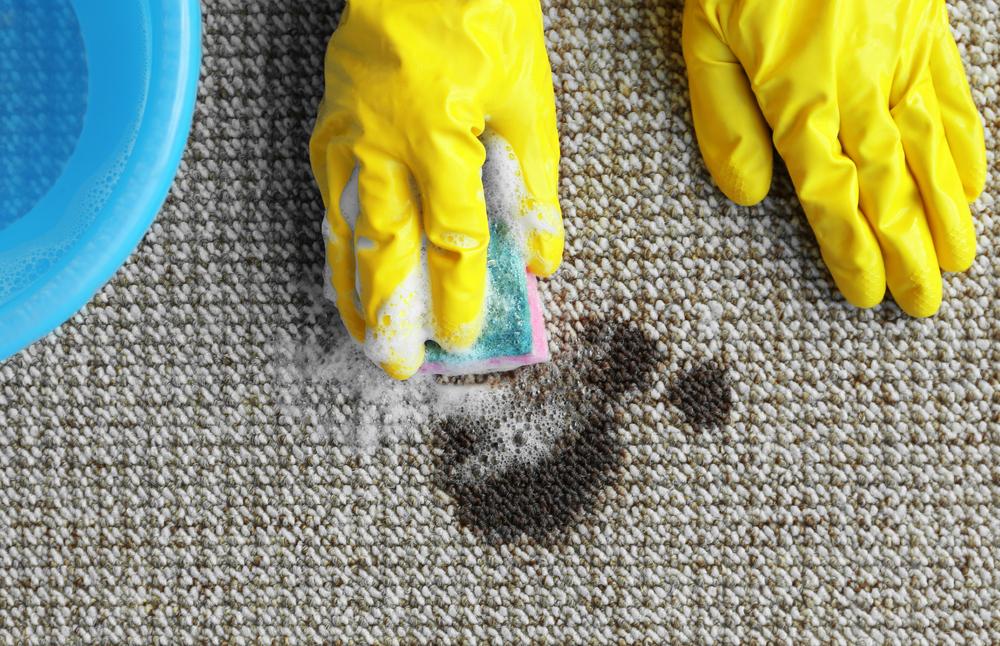 6 easy ideas for best carpet stain removers