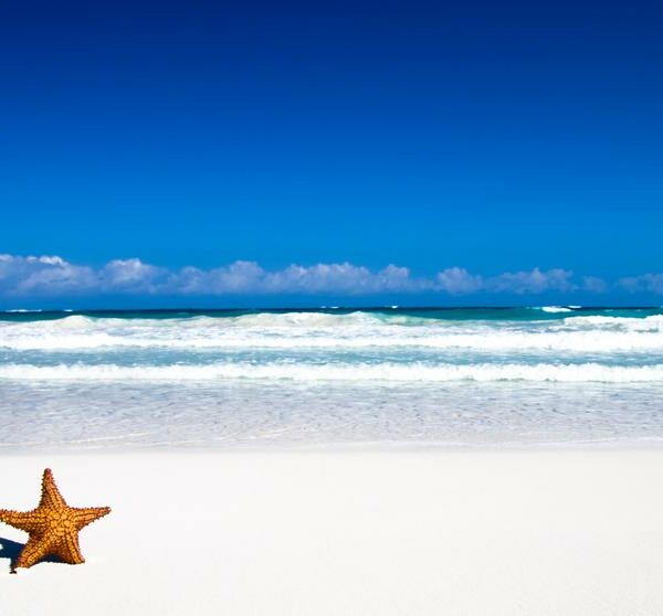 7 White Sand Beaches You Should Check Out